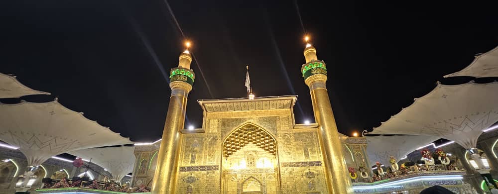 میگوی صادراتی